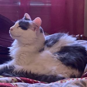 Meet your Posher, Wendy